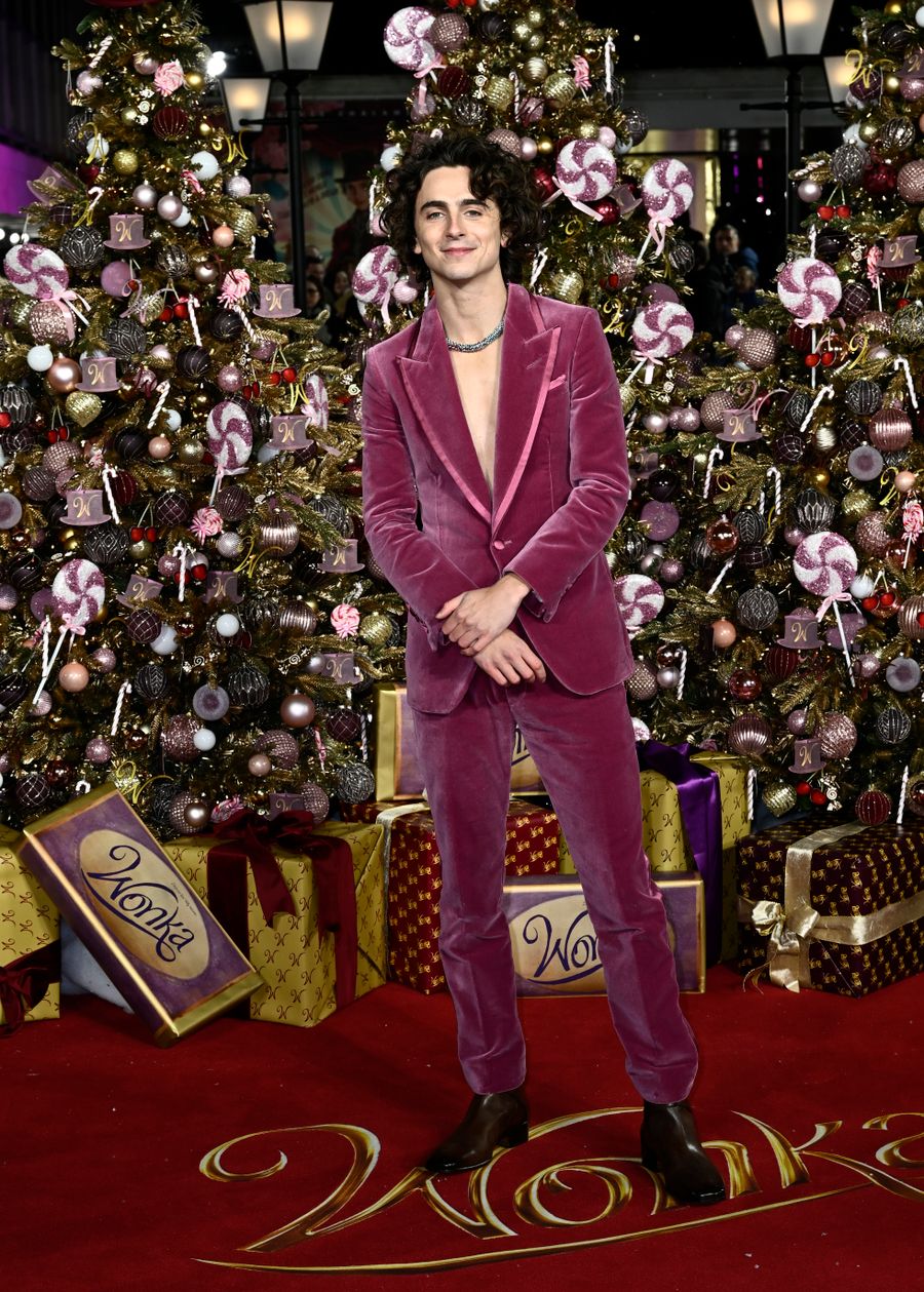 "Wonka" World Premiere - VIP Arrivals