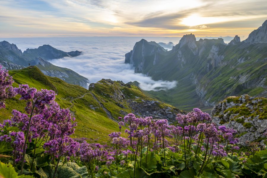suiza jura relojeria