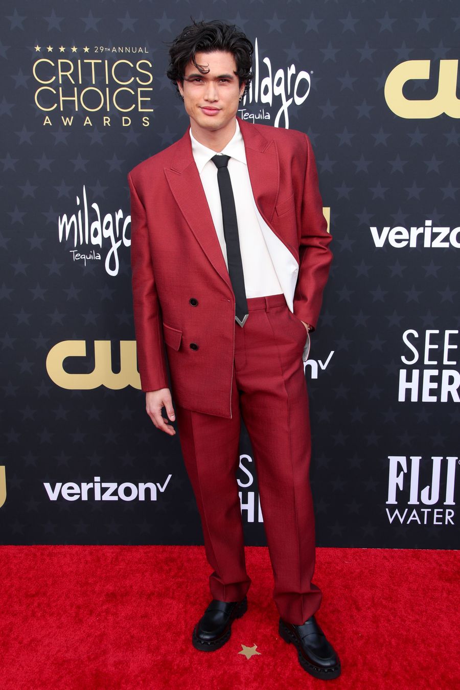29th Annual Critics' Choice Awards, Arrivals, The Barker Hangar, Los Angeles, California, USA - 14 Jan 2024