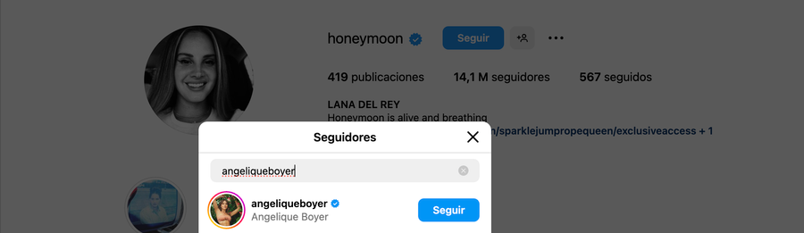 Angelique Boyer se hace tendencia en X por seguir a Lana del Rey en Instagram