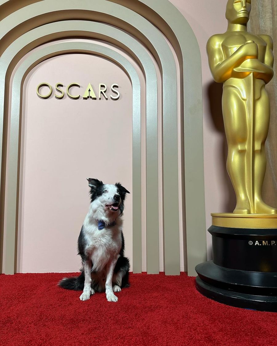 El perro de 'Anatomía de una caída' se roba el show en un evento de los Oscar