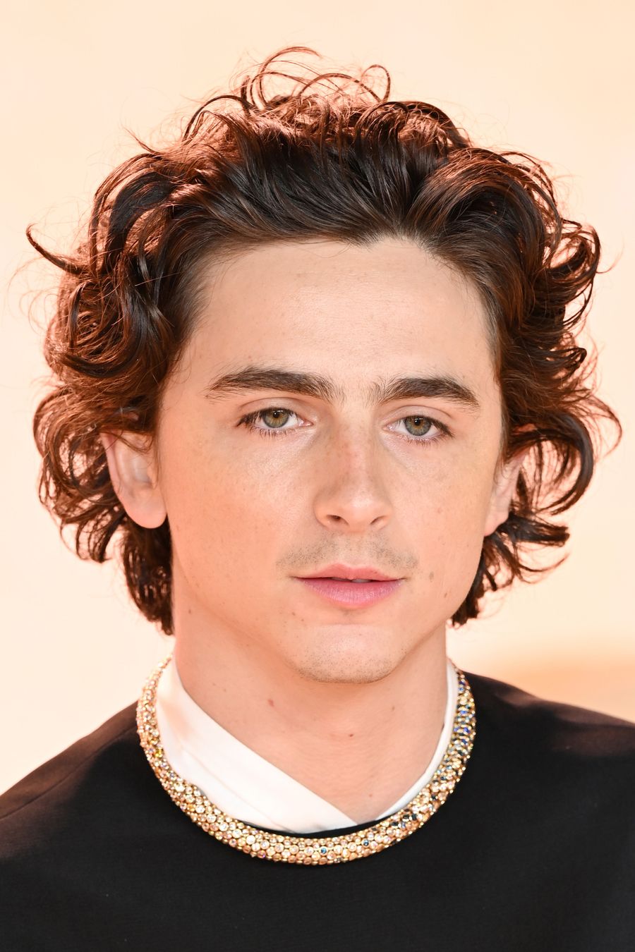 Timothée Chalamet vuelva a colaborar con Cartier y en esta ocasión crean un collar inspirado en Dune.