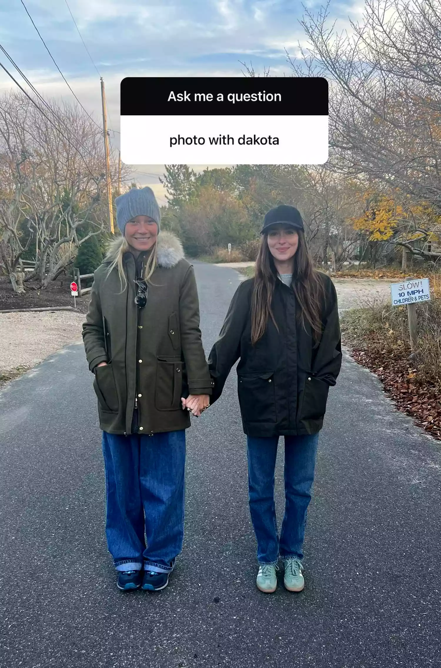 Gwyneth Paltrow posa junto a Dakota Johnson, la novia de su ex Chris Martin.jpg