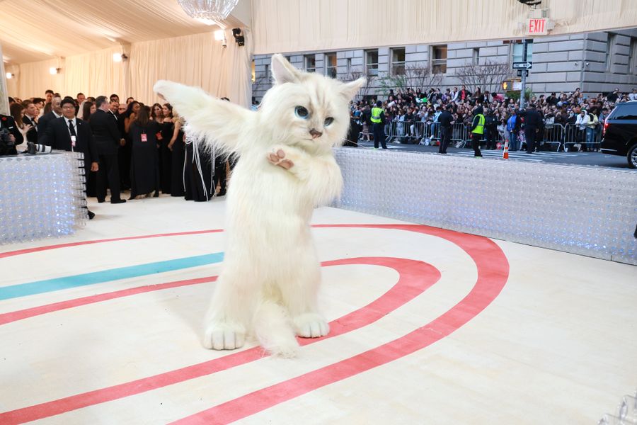 Met Gala 2023 - Karl Lagerfeld Red Carpet Looks