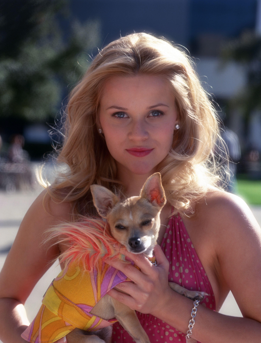 LEGALLY-BLONDE-SERIE-AMAZON-PRIME-VIDEO4.JPG