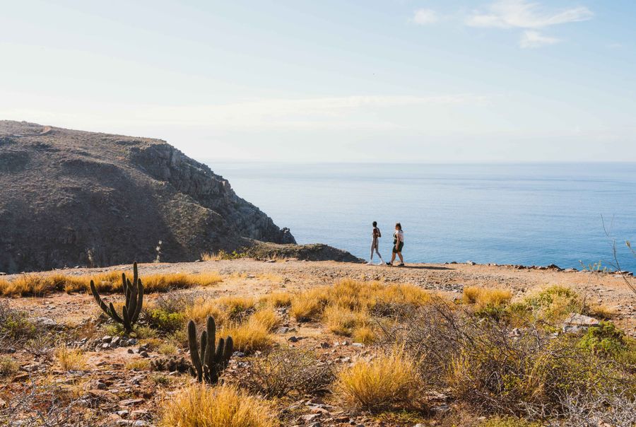 Los Cabos_1.jpg