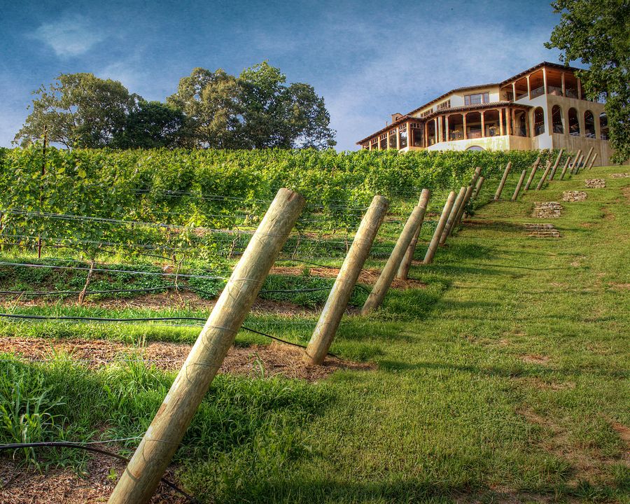 Imagen del viñedo y restaurante Montaluce en Dahlonega, Georgia.