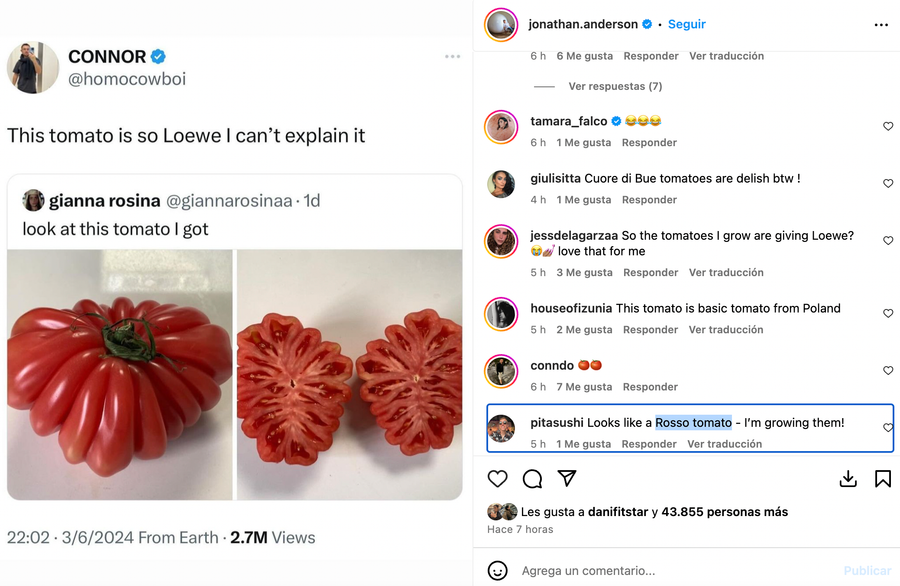 El jitomate Loewe que está rompiendo el internet y Jonathan Anderson aprueba