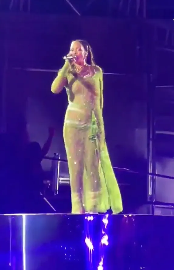 Rihanna da un concierto privado en la boda de una pareja millonaria de la India