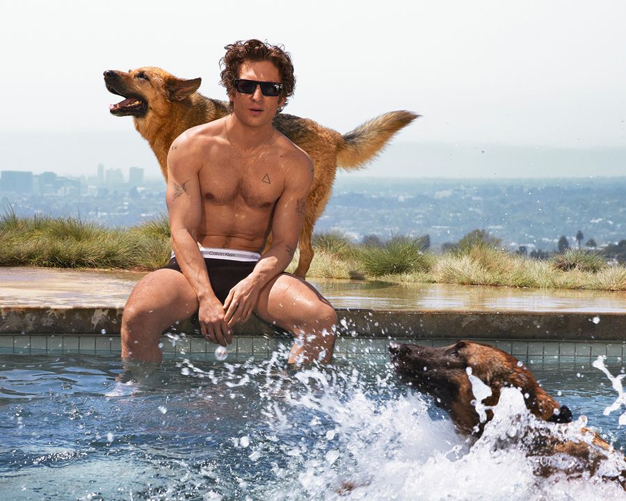 Jeremy Allen White Calvin Klein