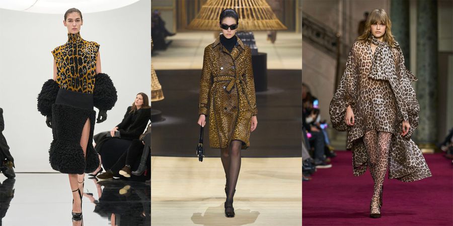 leopardo tendencias