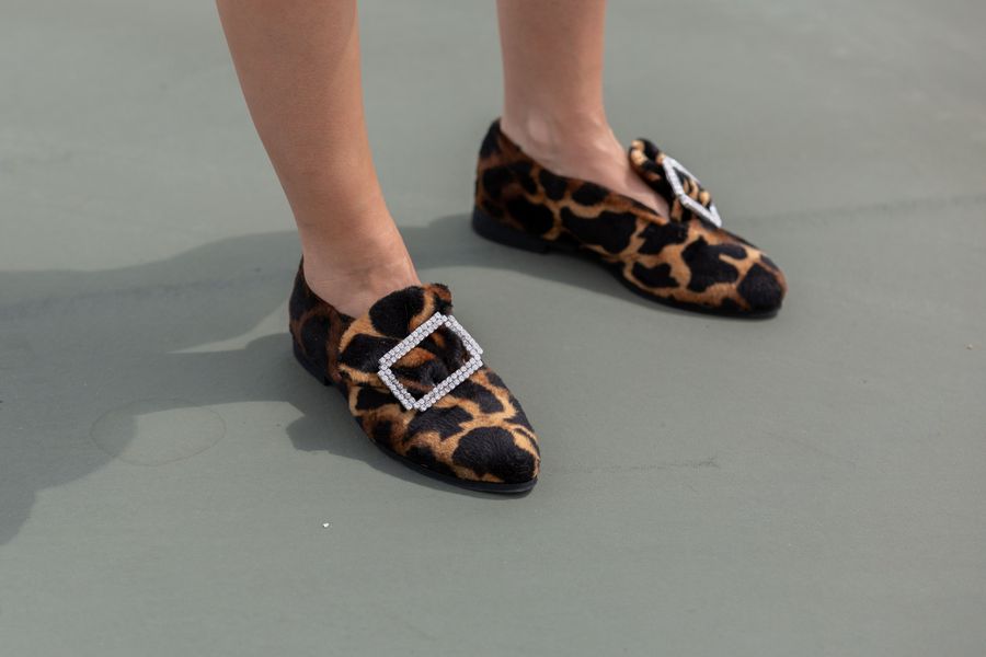 leopardo