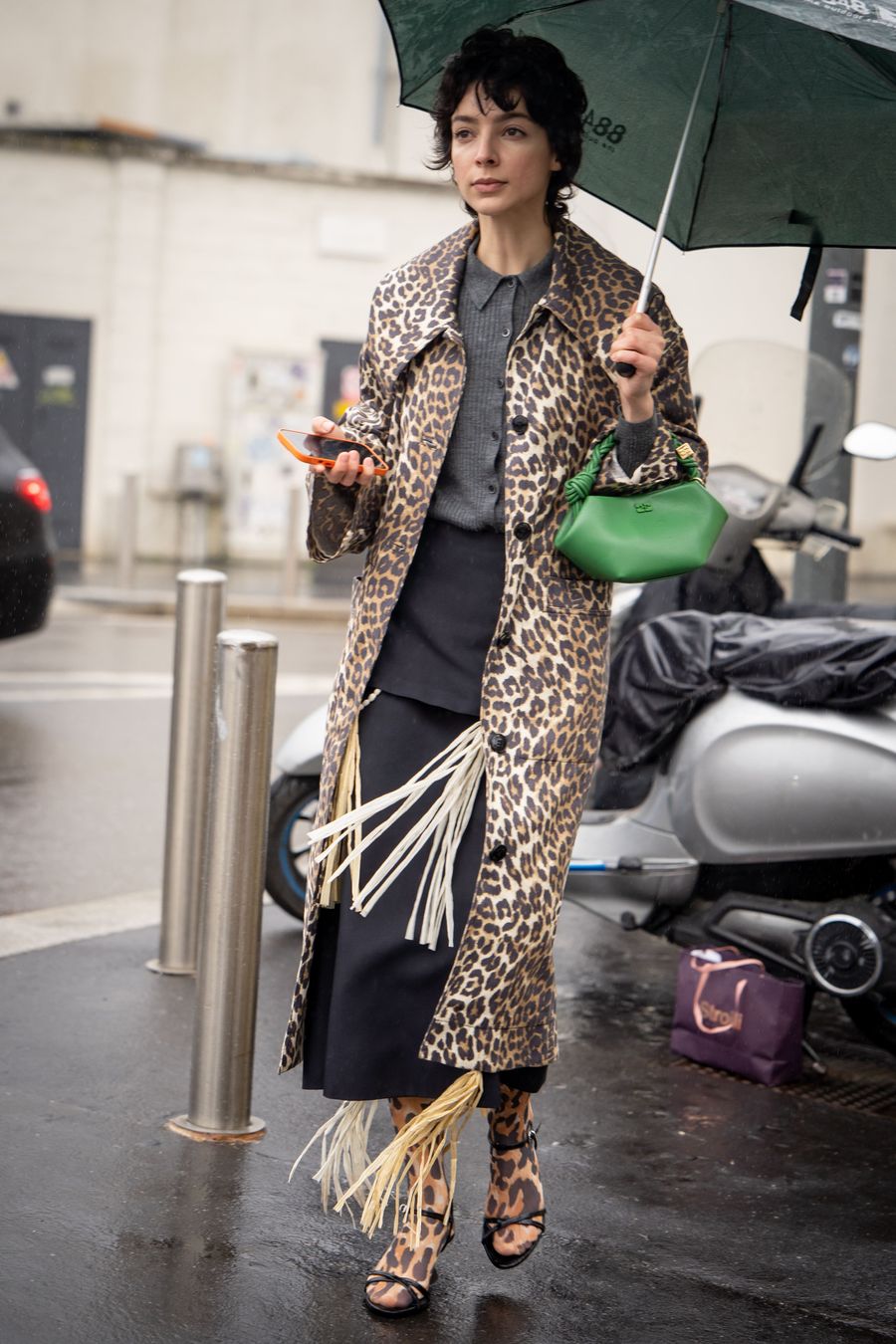 leopardo