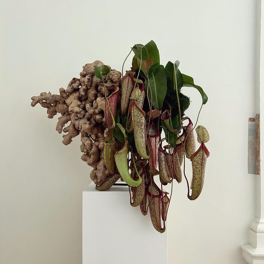 Diseño floral abstracto, ¿qué es y cómo lograr esta tendencia en florería? (Instagram)