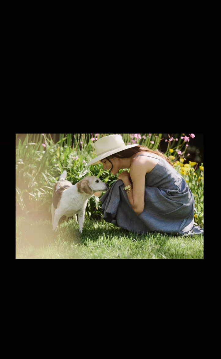 Meghan Markle perrito