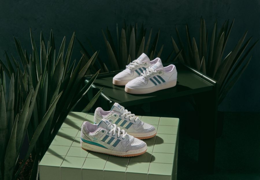 adidas agave