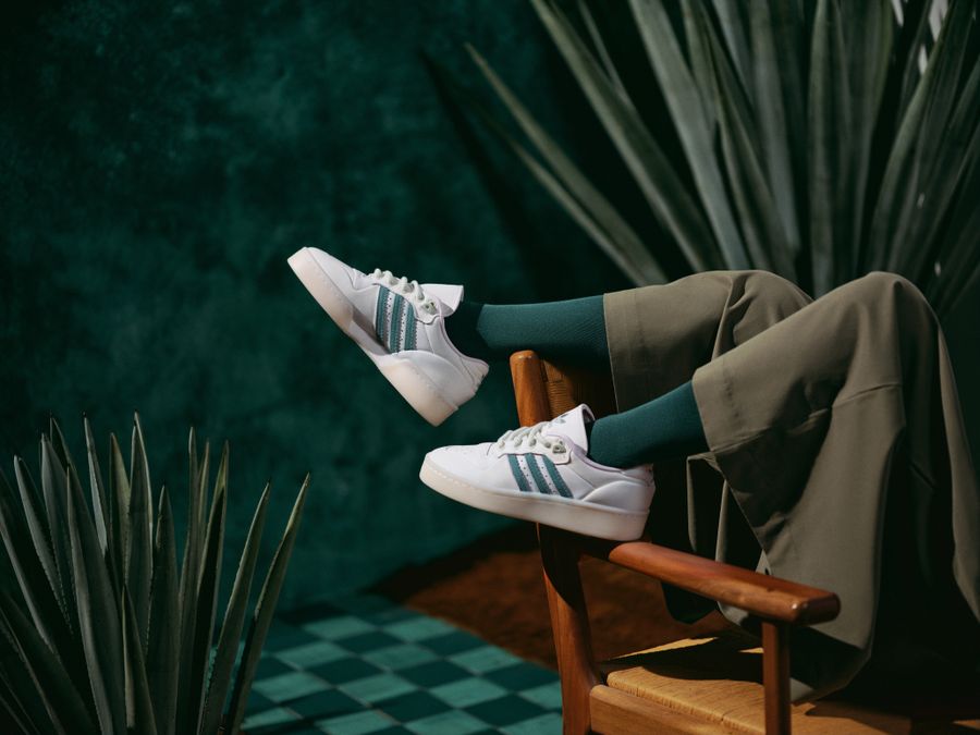 adidas agave