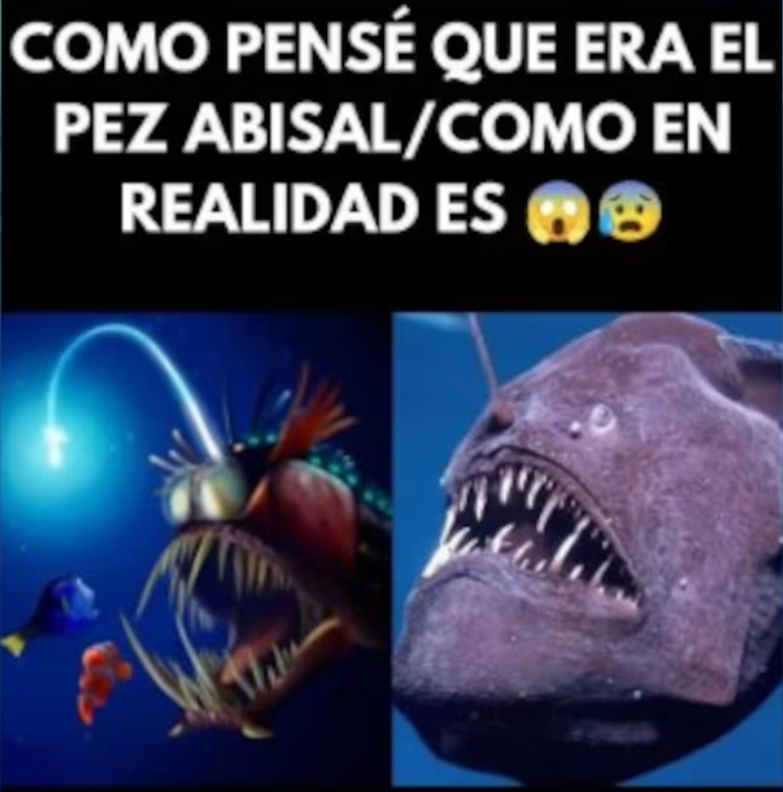 El avistamiento del pez abisal se convierte en meme