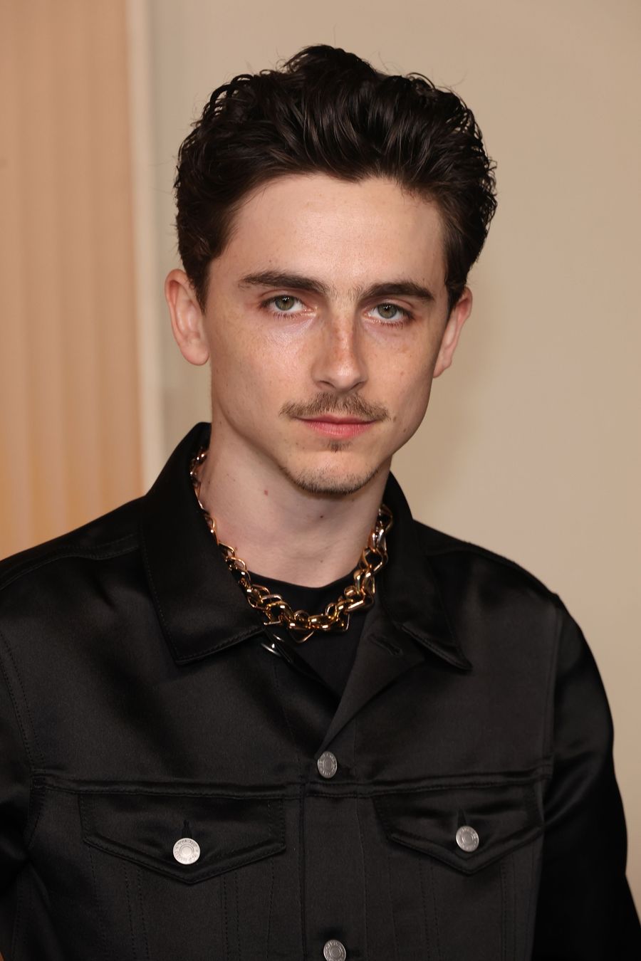 timothee chalamet gap
