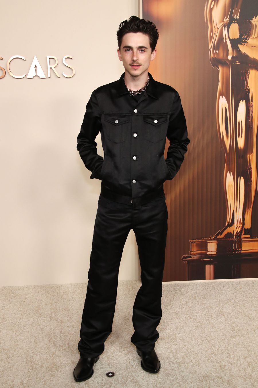 timothee chalamet gap