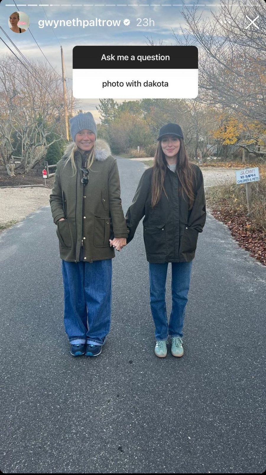 Dakota Johnson y Chris Martin se comprometen y tienen la bendición de Gwyneth Paltrow.