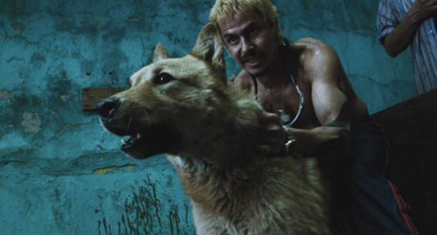 amores perros