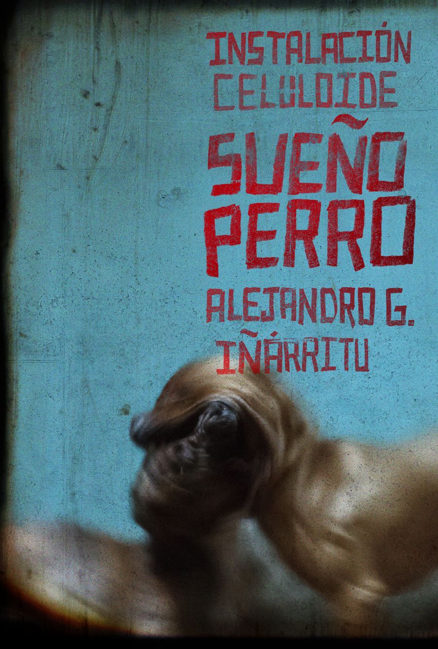 sueño perro fondazione prada