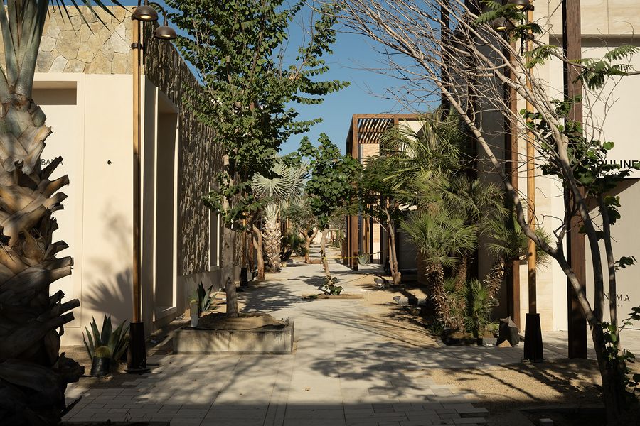 anima village cabo