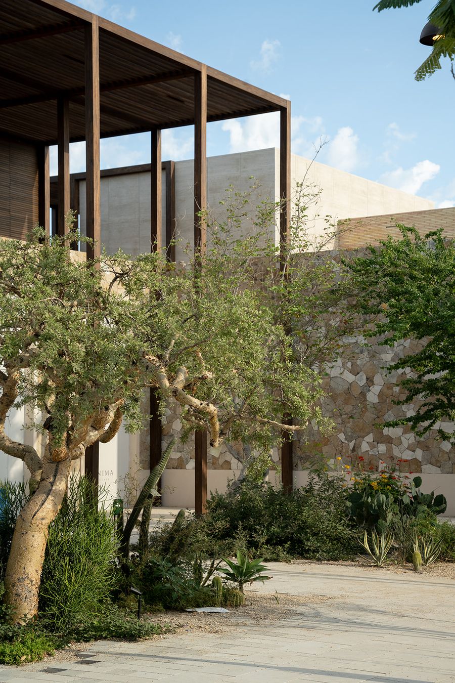 anima village cabo