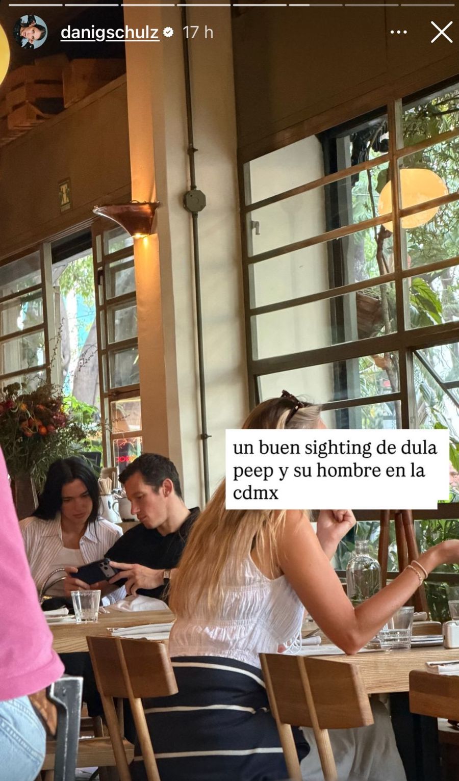 dua-lipa-lardo.jpeg
