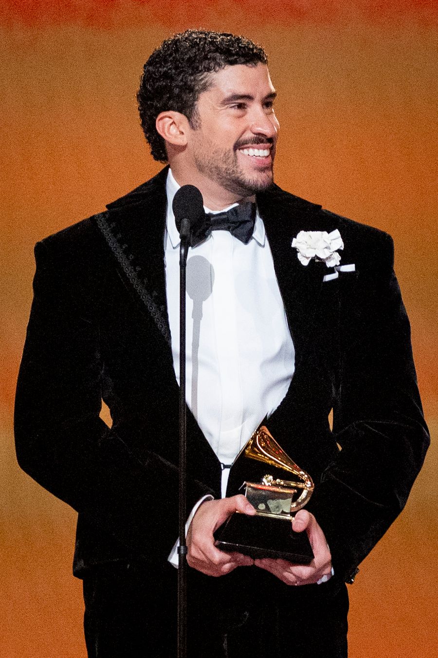 68th GRAMMY Awards - Show