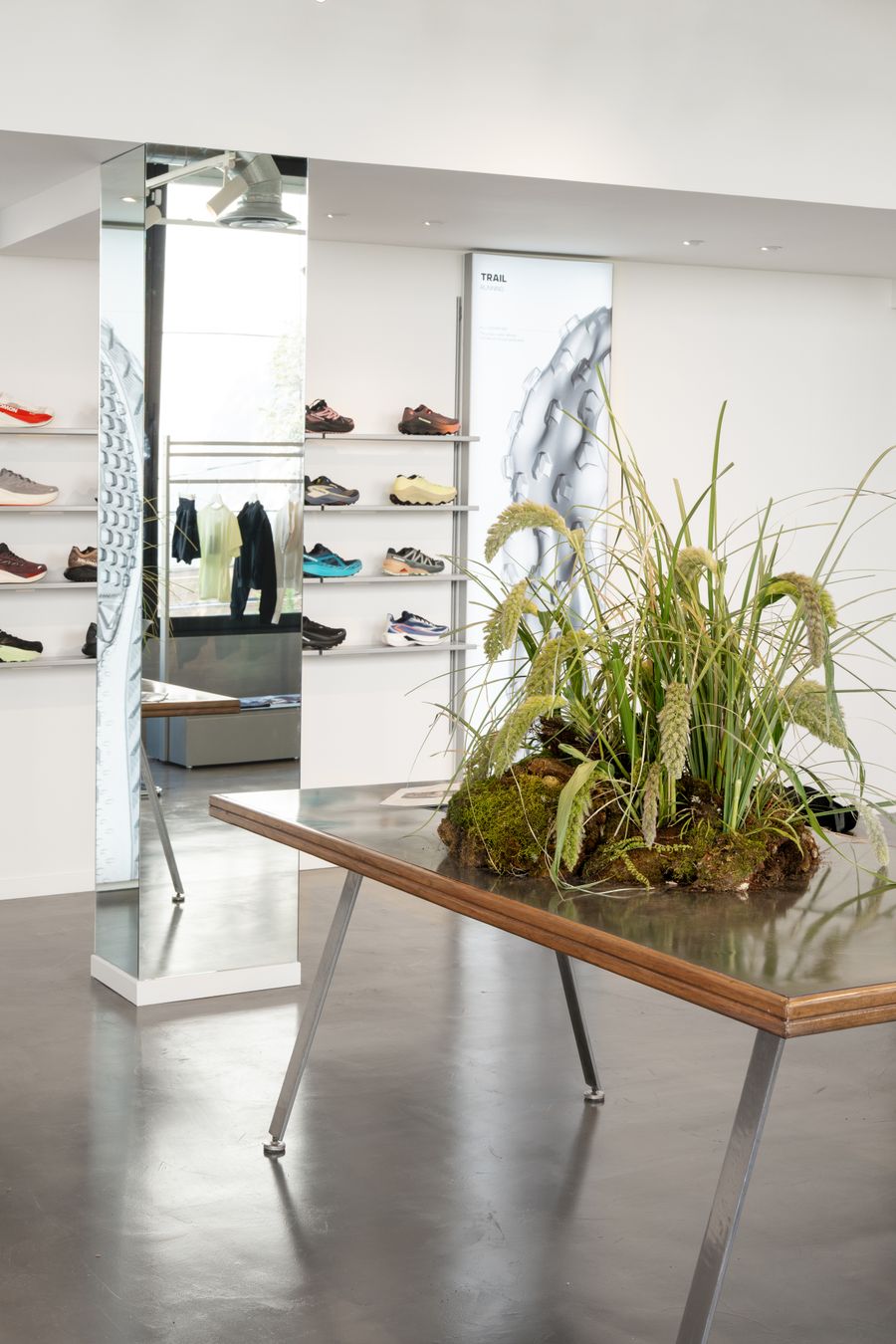 salomon-tienda-cdmx