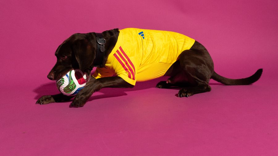 adidas-jerseys-mundialistas-perros